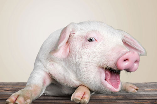 Sau Tết Đoan Ngọ (5/5 Âm lịch), 3 con giáp này dễ được 'quý nhân phù trợ', tiền đè ‘ngộp thở’