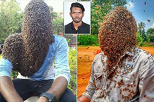 Người đàn ông lập kỷ lục thế giới khi để hàng chục nghìn con ong bám trên mặt