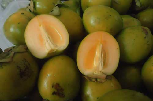 Ăn gì ngon, bổ rẻ ở Lâm Đồng?