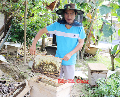 Hà Giang: Vươn lên làm giàu từ nuôi ong lấy mật