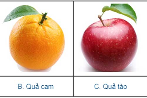 Trắc nghiệm: Đo chỉ số dễ bị lừa gạt của bạn