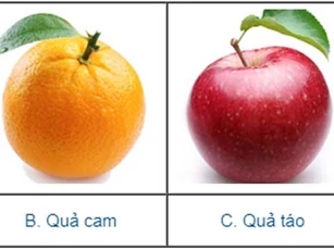Trắc nghiệm: Đo chỉ số dễ bị lừa gạt của bạn