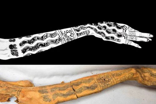 Hình xăm trên những xác ướp cổ đại: Nhện, rắn, túi cần sa… có đủ