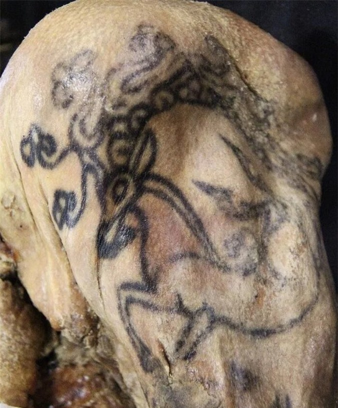 Tìm được xăm mình cổ nhất trên xác ướp Ai Cập 5000 tuổi  BBC News Tiếng  Việt