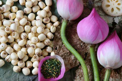 Bất ngờ với 6 lợi ích tuyệt vời của hạt sen, có 2 điều chị em cực thích