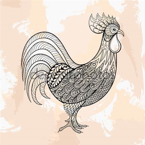 Ảnh minh họa Ảnh minh họa