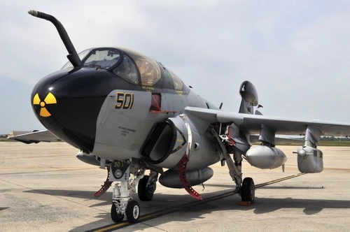 EA-6B Prowler - nền tảng này là một trong hai máy bay hoạt động tốt nhất của Hải quân Hoa Kỳ. Ảnh: Jane's 360.