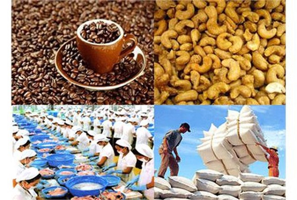 Hỗ trợ doanh nghiệp XK nông, lâm, thủy sản sang thị trường EU và thực thi hiệu quả EVFTA