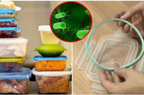 99% có thói quen dùng hộp nhựa đựng thức ăn trong tủ lạnh cứ tưởng sạch hóa ra bẩn vô cùng, nuôi vi khuẩn 