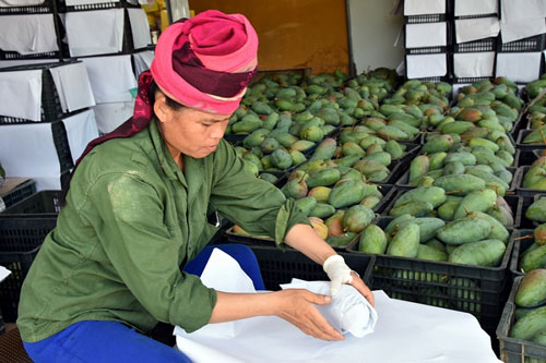 Thị trường CPTPP ưa chuộng hàng hóa Việt Nam