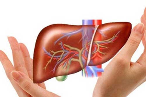 Ăn thực phẩm này đều đặn giải độc gan cực tốt, cả đời không lo mắc ung thư