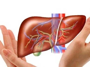 Ăn thực phẩm này đều đặn giải độc gan cực tốt, cả đời không lo mắc ung thư