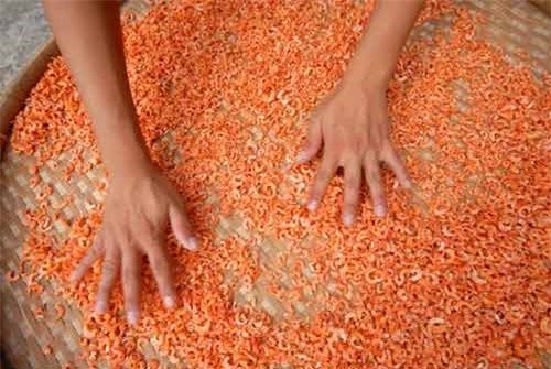 Cận cảnh quy trình làm tôm khô đặc sản miền Tây