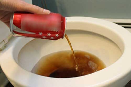 Thấy chồng đổ lon coca mới mua vào bồn cầu, vợ định mắng là "đồ dở hơi" nhưng phát hiện điều bất ngờ