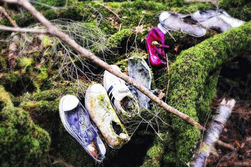 Khu rừng gây ám ảnh nhất Nhật Bản