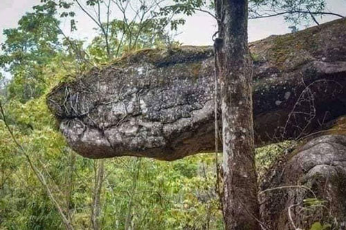 Tìm thấy hang động hình rắn khổng lồ