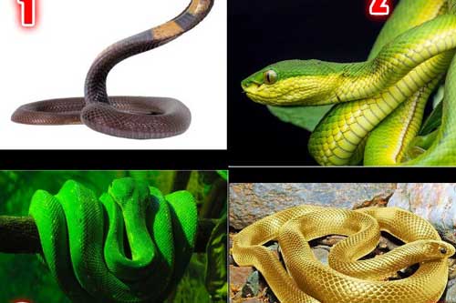 Trắc nghiệm: Bước ngoặt cuộc đời sẽ đến khi bạn tầm bao nhiêu tuổi?