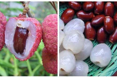 H&#x1EA1;t v&#x1EA3;i t&#x1B0;&#x1EDF;ng b&#x1ECF; &#x111;i nh&#x1B0;ng l&#x1EA1;i l&#xE0; v&#x1ECB; thu&#x1ED1;c qu&#xFD;, ai c&#x169;ng n&#xEA;n bi&#x1EBF;t