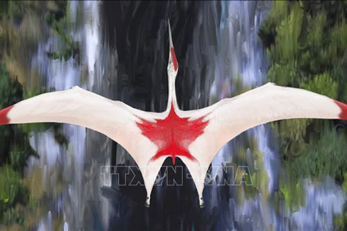 Khám phá loài thằn lằn cổ đại to như chiếc máy bay