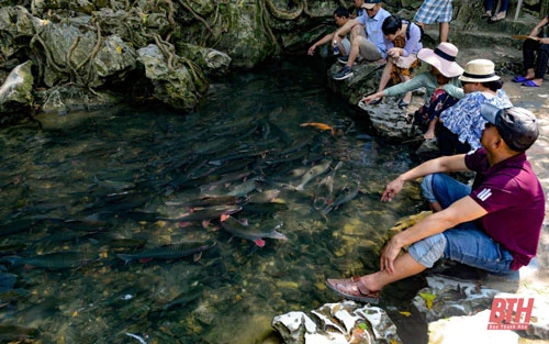Nơi đây có những đàn cá tập trung sinh sống với mật độ dày đặc, được đồng bào dân tộc Mường, Thái ở địa phương gìn giữ.