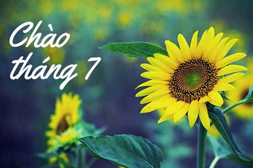 Bước sang tháng 7, những con giáp được Thần tài "độ mệnh", đón 6 tháng cuối năm thăng hoa rực rỡ