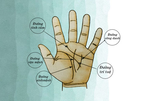 Đường chỉ tay hình chữ M có thể tiết lộ nhiều sự thật thú vị về công danh và sự nghiệp của bạn