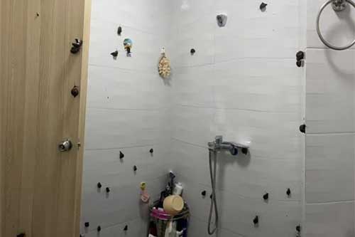 Mua ốc về hấp, chưa kịp chế biến, cô gái đã gặp cảnh tượng "nổi da gà" trong nhà tắm