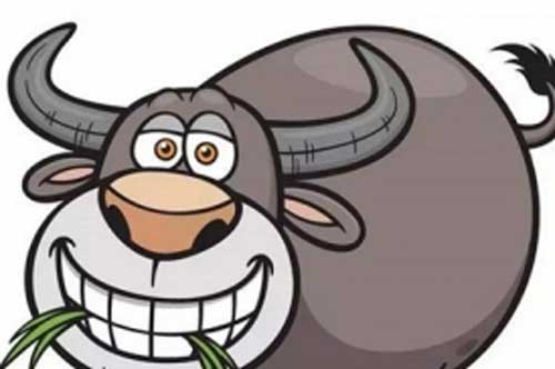 Câu chuyện "Vua giết trâu bò lấy da trải đường vì thương dân" và bài học cuộc sống ý nghĩa không thể bỏ lỡ