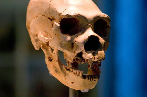 Tìm thấy bằng chứng về 'quần thể ma' của người cổ đại