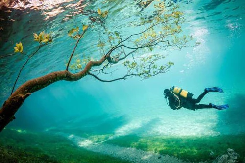 Mỗi mùa xuân, khi tuyết tan, mực nước trong hồ Gruner See (Hồ Xanh) ở Áo sẽ dâng thêm khoảng 9 mét, biến khu vực xung quanh thành một công viên dưới nước. Khi lặn xuống đây, bạn sẽ thấy mình như "bước vào thế giới kỳ ảo".