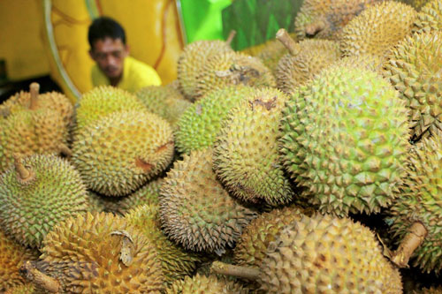 Mít và sầu riêng sẽ trở thành nguồn điện sạch trong tương lai