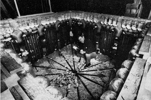 Thí nghiệm kỳ lạ: Xây dựng 'xã hội không tưởng' cho chuột