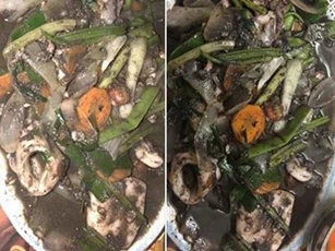 Bạn thân miền biển đi xào mực, nàng sinh viên lẫn dân mạng "chết lặng" khi thấy thành phẩm