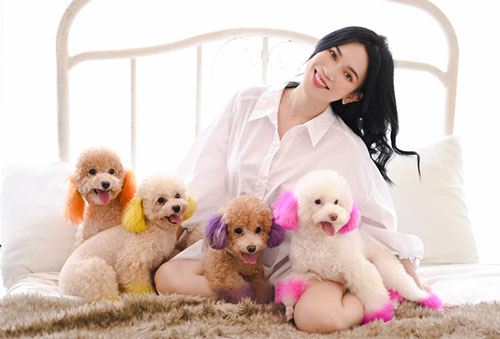 Đàn cún cưng giá trăm triệu của Sĩ Thanh