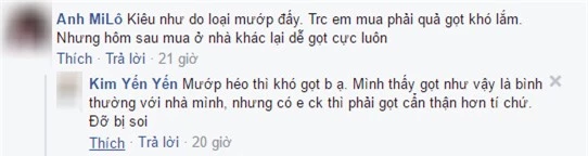 Đăng ảnh gọt mướp của chị dâu để chê khéo, em chồng không ngờ bị mắng “sấp mặt” - 3