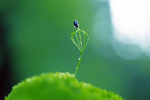 Trắc nghiệm: Kiếp trước bạn là ai? Vì sao đầu thai kiếp này?