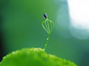 Trắc nghiệm: Kiếp trước bạn là ai? Vì sao đầu thai kiếp này?