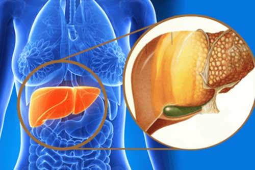 Dành 1 phút làm điều này mỗi ngày, cả đời bạn không lo ung thư gan, điều số 2 quan trọng nhất