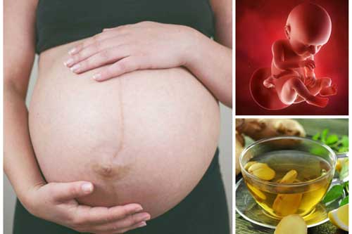 Mẹ bầu uống 1 ngụm nước này mỗi sáng vừa lọc nước ối trong veo lại nuôi thai nhi mũm mĩm từ trong bụng