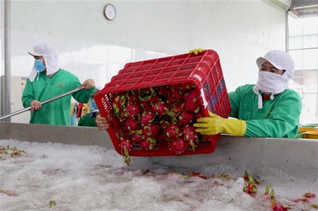 EVFTA: Yếu tố tiên quyết để nông nghiệp Việt thành công khi thâm nhập thị trường EU