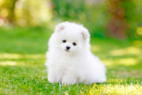 'Thần Tài chỉ đích danh', 3 con giáp này dễ đổi đời trúng lớn, giàu sang bất ngờ trong 10 ngày đầu tháng 7 Dương lịch