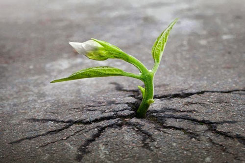 Trắc nghiệm: Ý chí của bạn mạnh mẽ đến mức nào?