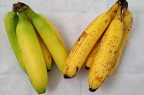 Mua chuối nên chọn quả cong hay thẳng? 90% bà nội trợ không biết câu trả lời