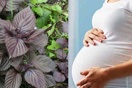 5 thực phẩm "thần thánh" giúp mẹ dễ đẻ thường, sinh không đau