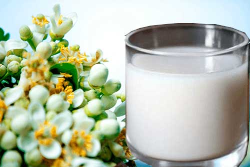 Loại nước uống vào giúp vòng 1 tăng kích thước nhanh chóng