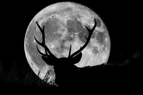 Sắp xuất hiện nguyệt thực và mưa sao băng kỳ thú trong tháng 7