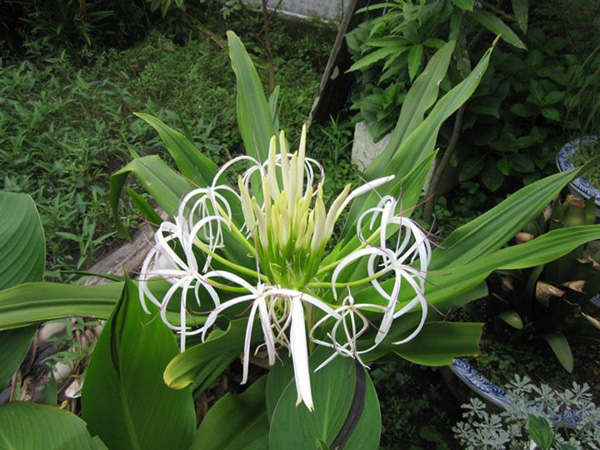 Chớ dại coi thường chứng tiểu đêm, đi tiểu xong lại muốn đi tiếp ở nam giới!