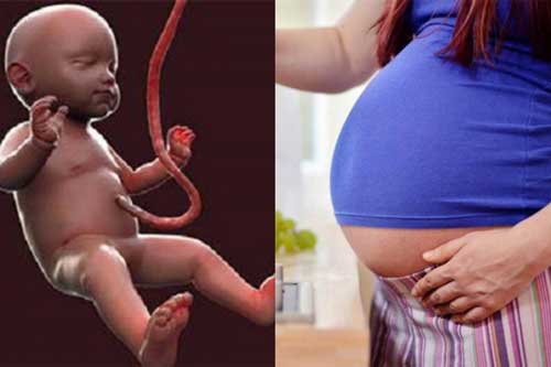 5 loại nước ép giúp nước ối về ào ạt, nuôi thai nhi "lớn nhanh như thổi"