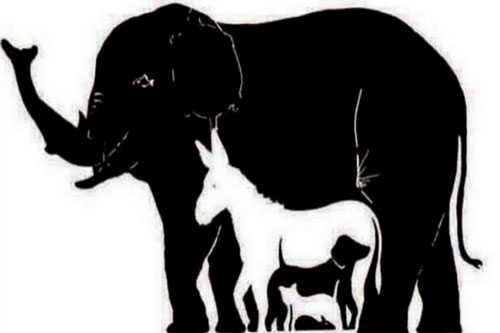 Chỉ 1% số người tìm ra 16 con vật trong bức tranh