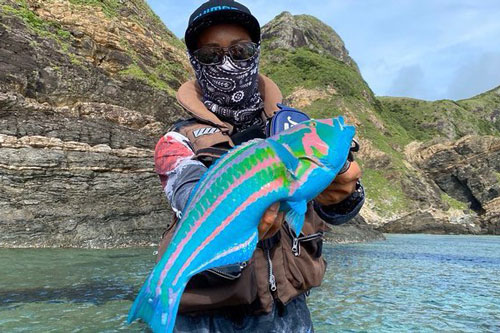 Sự thật bất ngờ về con cá màu sắc gây sốt ở Nhật Bản